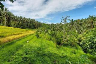 Private Riverside Bali's Eco-Lodge in A Peaceful Jungle - Meliling - 7