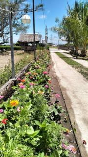 Ortelano's Home Stay - Lubao - 4