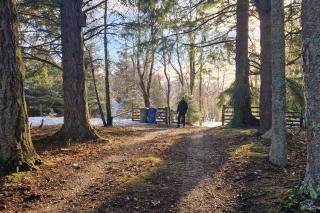 Spacious colonial style Villa - 3