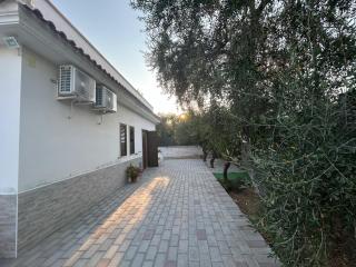 Al Centro Baia - Mattinata - 8