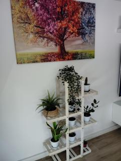 Apartamento Plaza Palmeras2 - Burjassot - 4