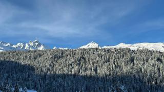 Appartement Résidence Ourse Bleue - Courchevel - 1