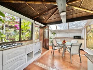Oasis Garden - Puerto de la Cruz - 7