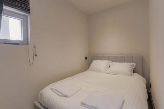 Joli T1 pour 4, Champagne, Monts d'Or, Lyon - 8