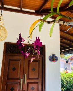 Falkennest Villa - 2