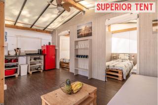 Glamping Tents | Losinj | Camp Čikat - Mali Lošinj - 4