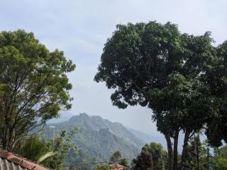 Baagie Homestay - Ella - 4