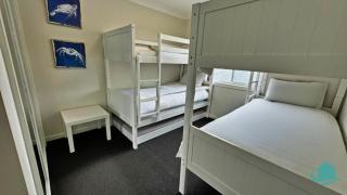 2B at Swansea cosy cottage, outdoor pet friendly - Swansea - 3
