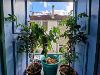 Chez Mamichou - Moret-sur-Loing - 5