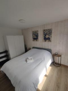 ThiLuCha Le ThiLu ALPE D'HUEZ gd domaine à Allemont - 4