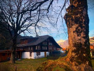 Haus Balm - Meiringen - 0
