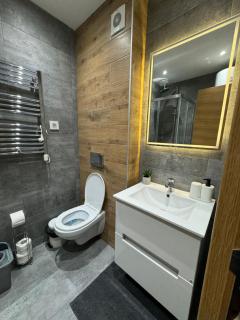 Apartman Ljubav Zlatibor - Zlatibor - 4