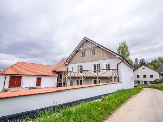 Apartment Olšina by Interhome - Horní Planá - 1