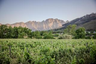 Grande Provence - Franschhoek - 8