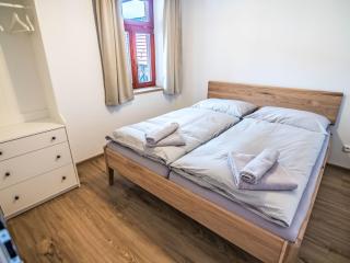 Apartment Želnava by Interhome - Horní Planá - 8