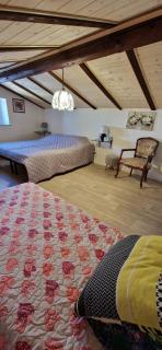 Bouganville - 7