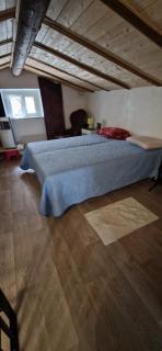 Bouganville - - 5
