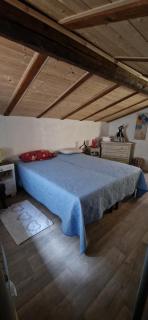 Bouganville - - 4