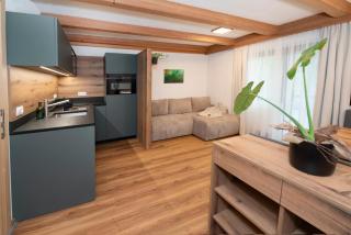 Naturapartments Alpbach - Alpin Bio Deluxe - 3