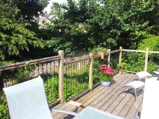 Kingfisher Cottage - Tavistock - 1