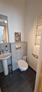 Rossmarkt Apartments - Braşov - 1
