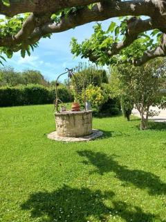 Villa proche des Alpilles Spa - Eyguières - 8