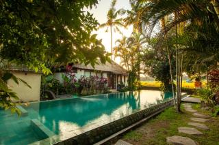 Beautiful villa in ubud area - Ubud - 5