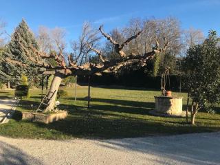 Villa proche des Alpilles Spa - Eyguières - 3
