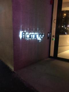 Flamingo in Sea Point - Enjoy Views of Lion's Head Mountain - Cape Town - 8