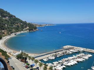 Villa Andora with swimming pool and 10 minutes from the sea - Moltedo - 3