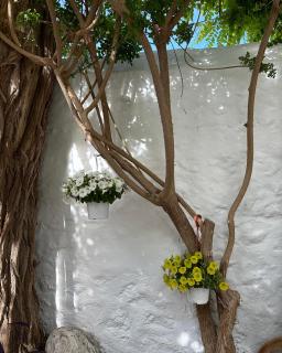 Hotel Miranda - Hydra - 2