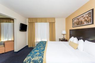 Wingate by Wyndham Houma - Houma - 9