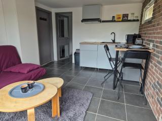 Loft des Cigognes - Barr - 5