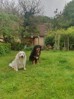 Les Girouteaux La bergerie - 4