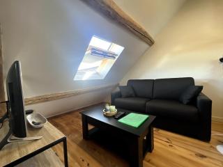 Climber's Loft with Netflix - Montcourt-Fromonville - 5