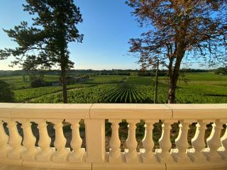 La Réserve du Château de Roques - Puisseguin - 5