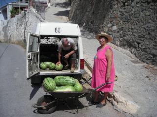 Casita muy romantica, tranquila y acogedora! - 7