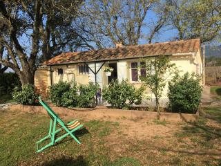 La maison sous les chenes - Vidauban - 7