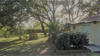 La maison sous les chenes - Vidauban - 2