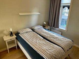 Classical 3 bedroom, 2 bath, minutes from Royal Palace, Main Shopping Street, Restaurants & Downtown - Oslo - 1