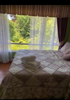 Hostal del Muelle - Valdivia - 3
