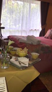 Hostal del Muelle - Valdivia - 6