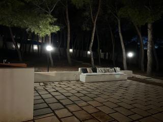 Villetta in pineta - 5