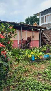Bananas Guest House Private Room - Altagracia - 0