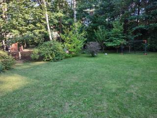 FORREST DOM w LESIE - 1