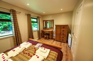 Bluebell Lodge 2 with Hot Tub - Newton Stewart - 1