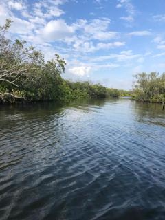 Castaway on Treasure Island NPR - New Port Richey - 8