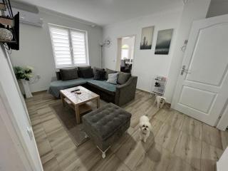 Apartman LOKI - Soko Banja - 5