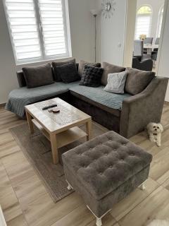 Apartman LOKI - Soko Banja - 4