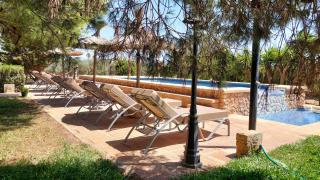 Finca Girasols - Campos - 9